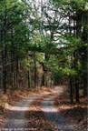 The Lane - Petit Jean Mountain Private Lane