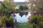 The Pond - my backyard!